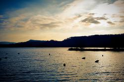 L1000384_DxO_1.jpg