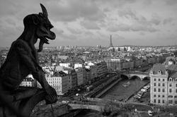 gargoyle.jpg